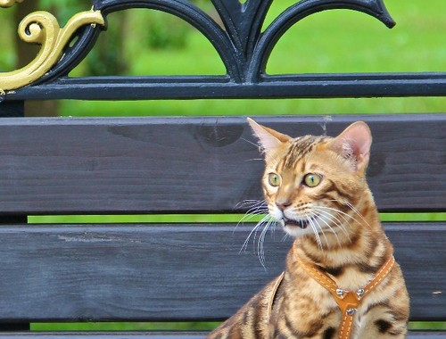Inguz took a seat on a park bench