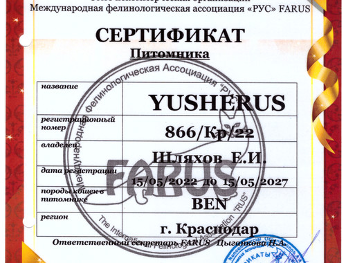 Certificate of the YUSHERUS Bengal cats cattery in the International felinological Association of cat lovers 'RUS', FARUS
