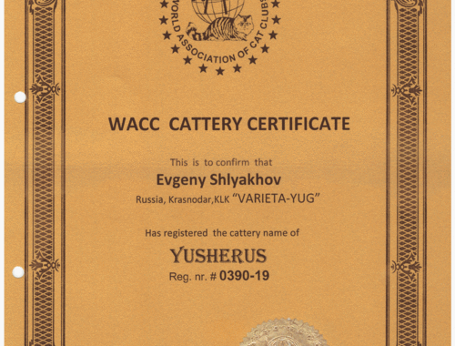 Свидетельство о регистрации питомника бенгальских кошек ЮШЕРУС во всемирной ассоциации объединений клубов любителей кошек WACC